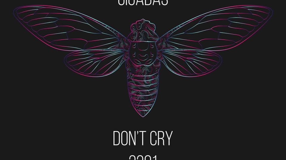 Cicada 3301: The Unsolved Cryptographic Puzzle – A Deep Dive into the Mystery