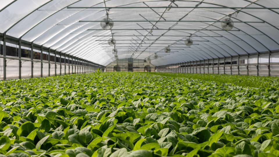 ‘Farming for the Future: Digital Horticulture in India Leading the Way’