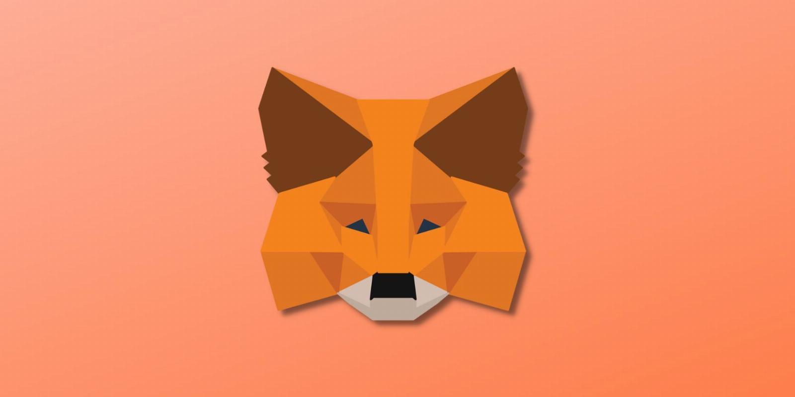 How to Navigate the MetaMask Mobile App