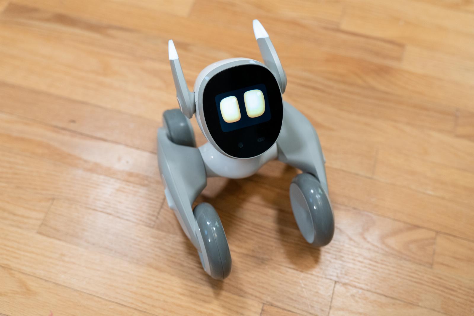 Like me, Loona the Petbot is dumb but lovable