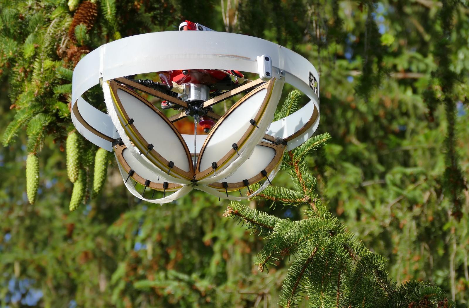 This gentle drone collects loose DNA from swaying tree branches