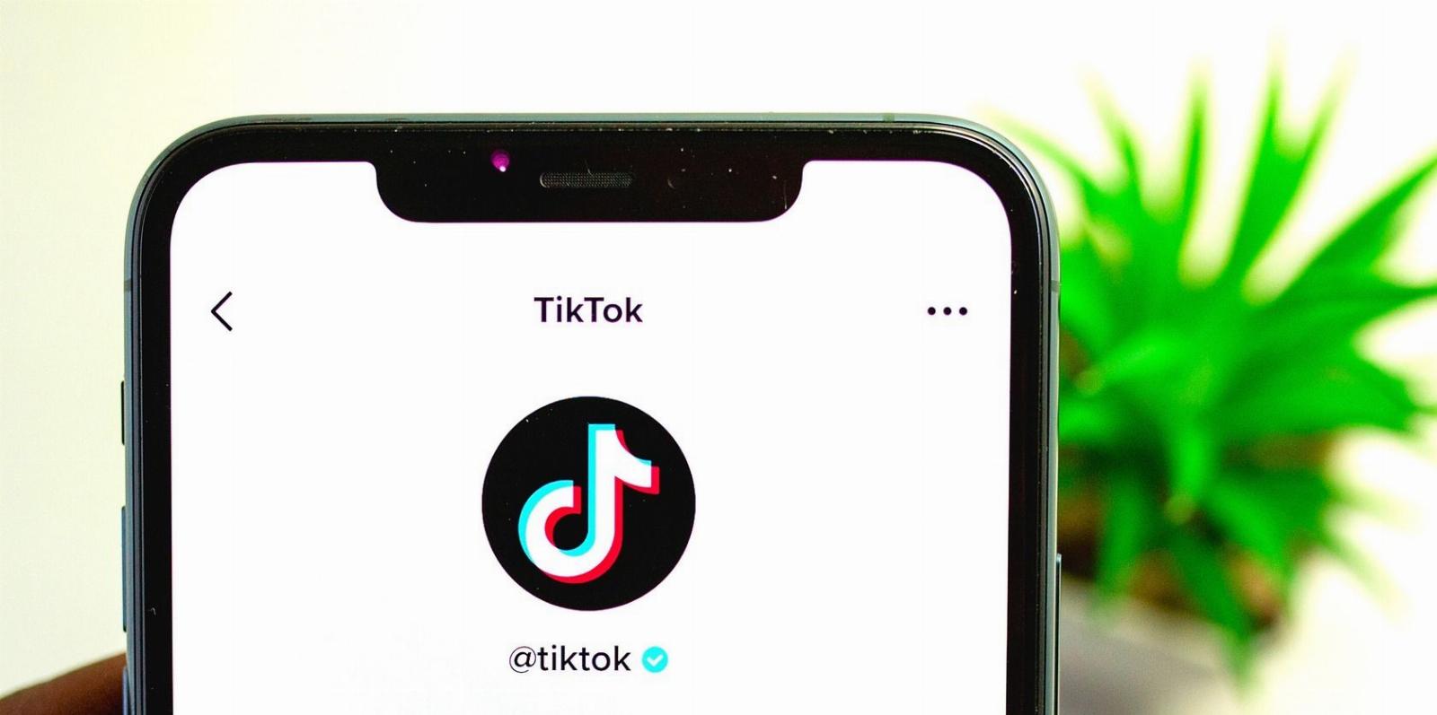 Why You Can’t Put a Link in Your TikTok Bio