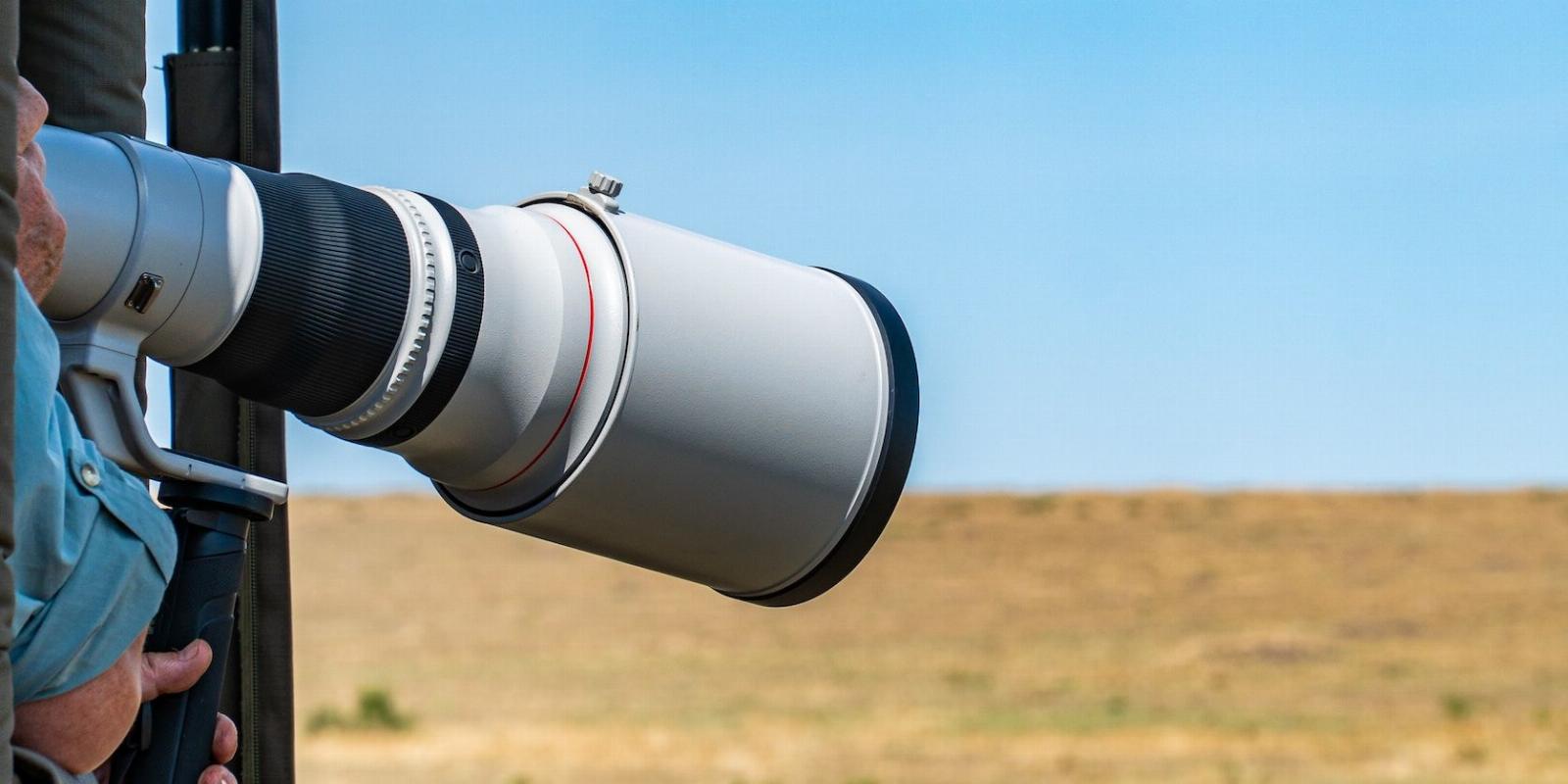 How to Use Your Telephoto Lens Effectively: 8 Tips