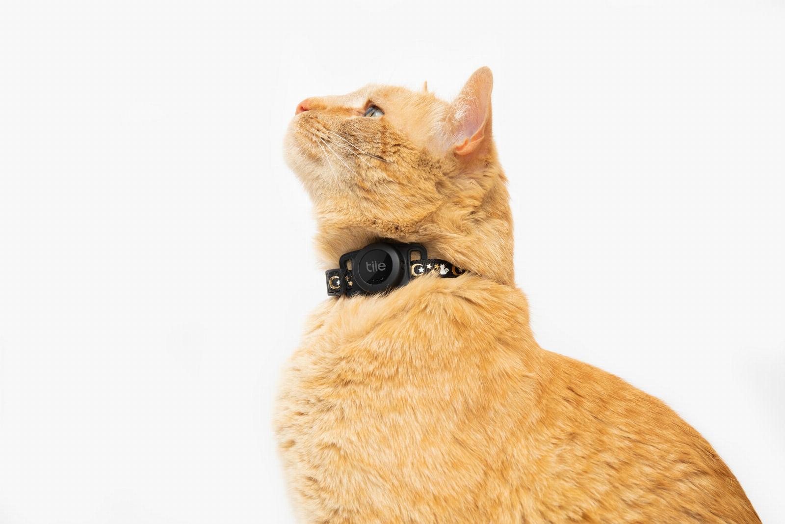 Tile launches a new cat tracking tag with three-year battery life