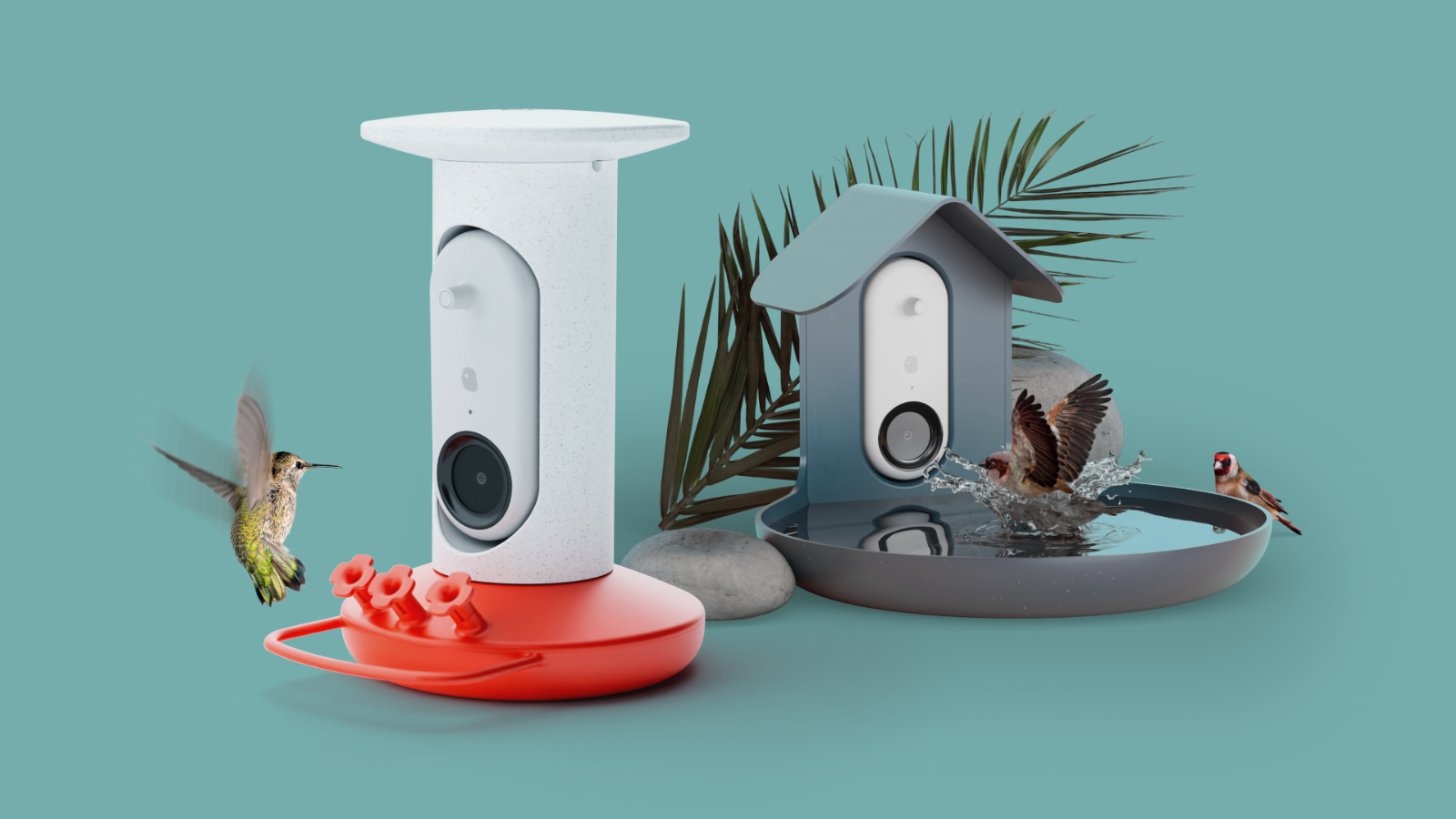 Bird Buddy introduces an AI-powered Smart Hummingbird Feeder and Bird Bath