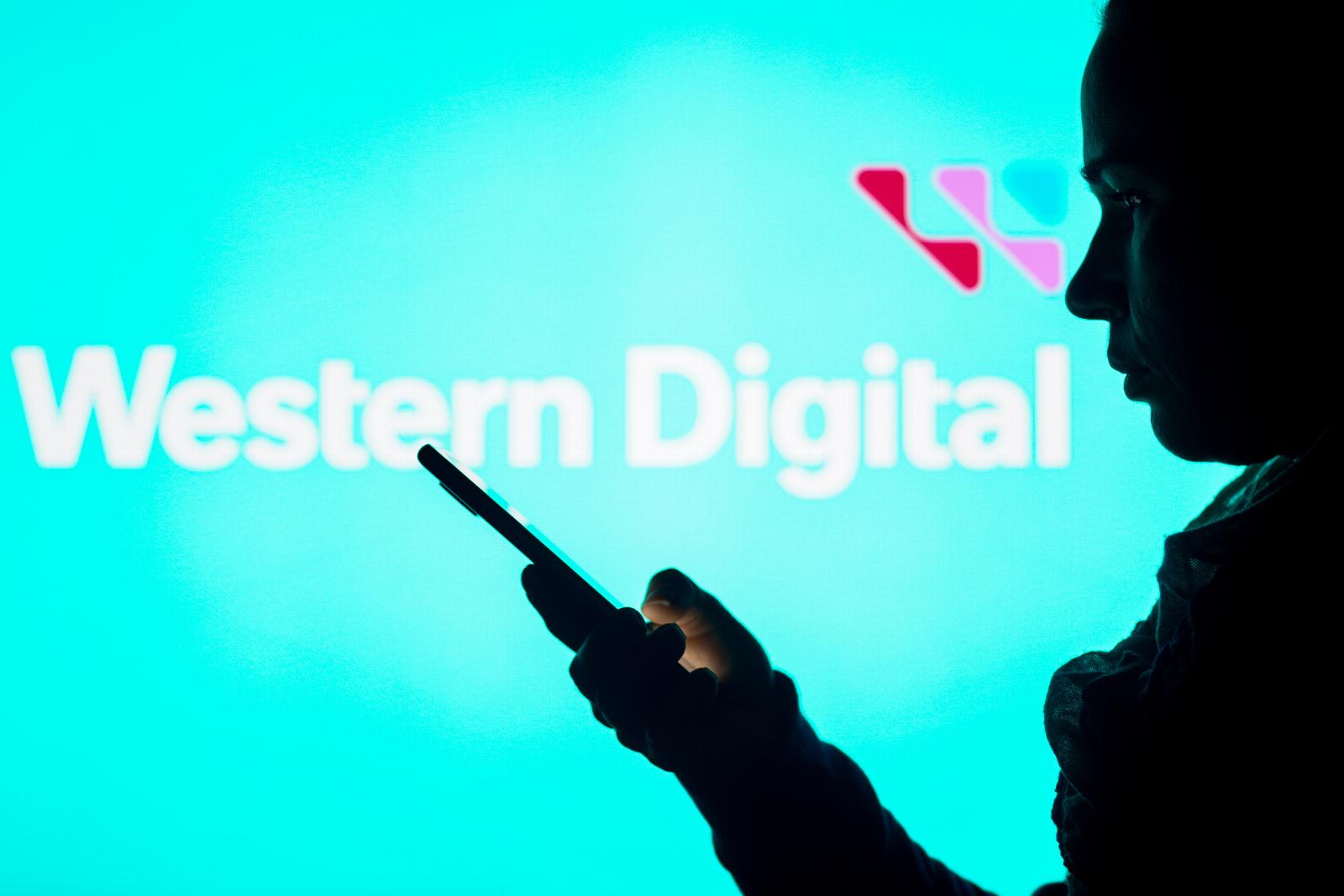 Western Digital tells customers that hackers stole their data