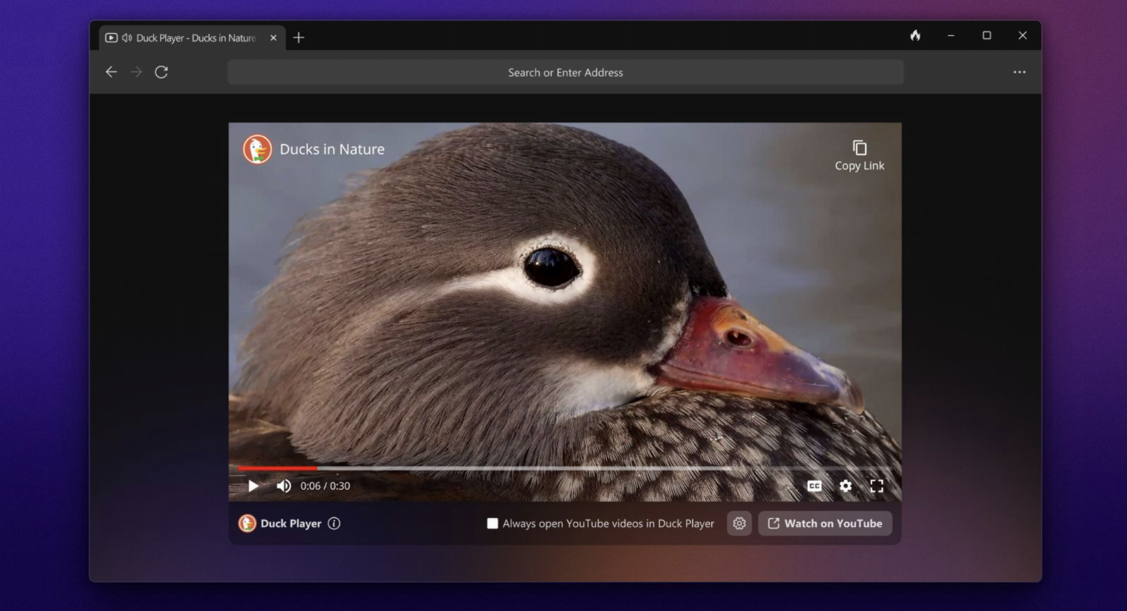 DuckDuckGo’s Windows browser is now available in open beta