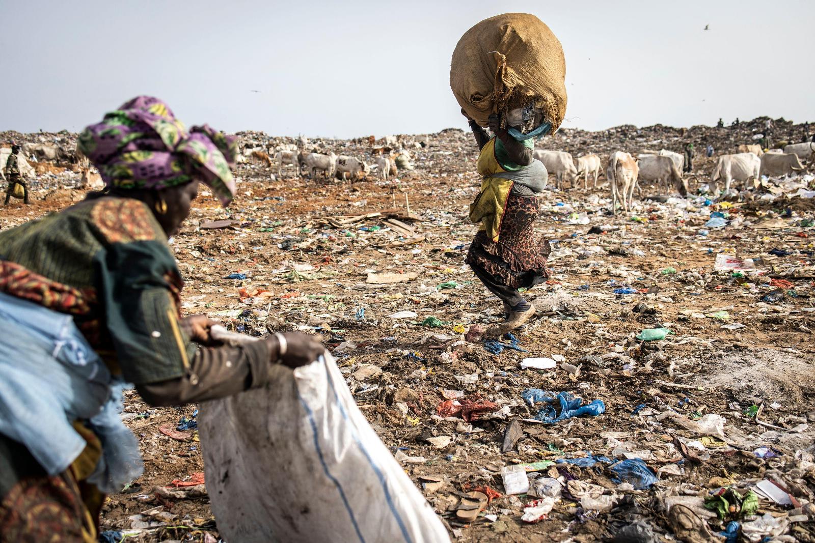 Millions of People Collect Plastic for a Living. What Happens if It Goes Away?