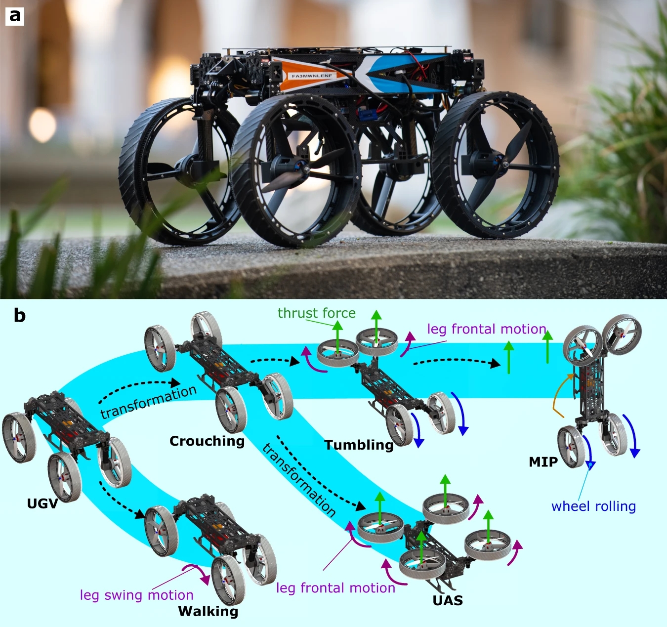 The M4 robot transforms to roll, fly and walk across various terrains