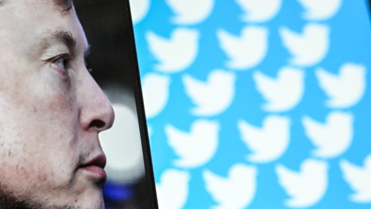 Twitter starts paying…but only Elon Musk’s favorite creators