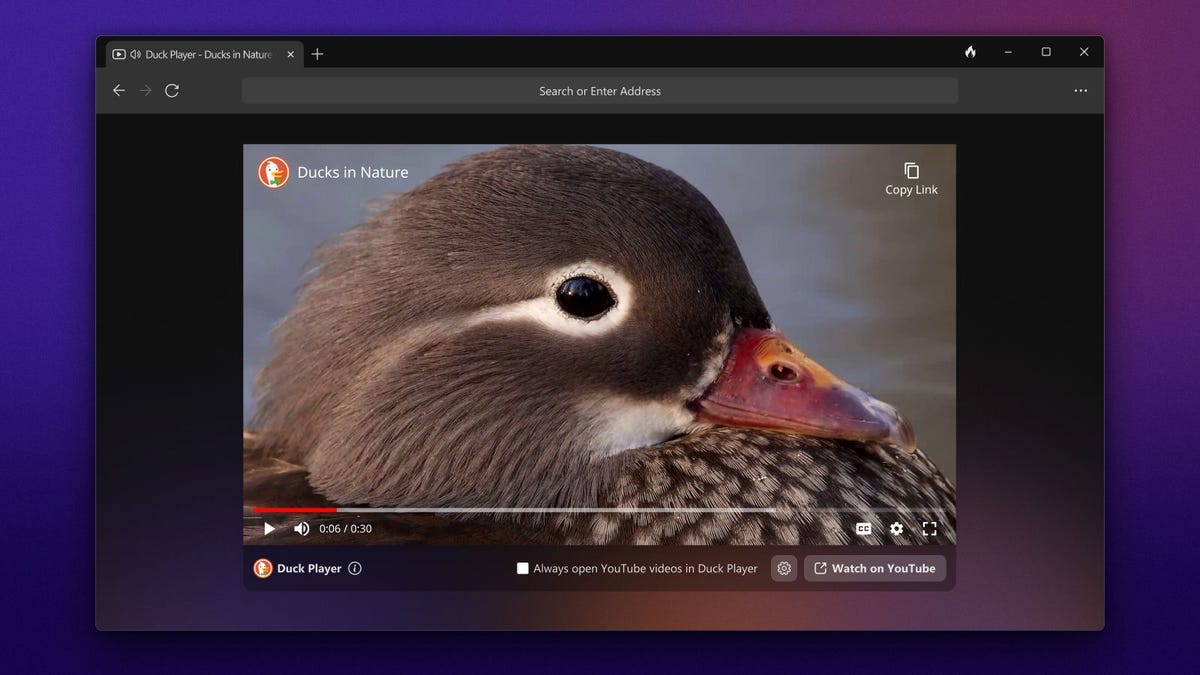 You Should Really Try Out DuckDuckGo’s Windows Beta