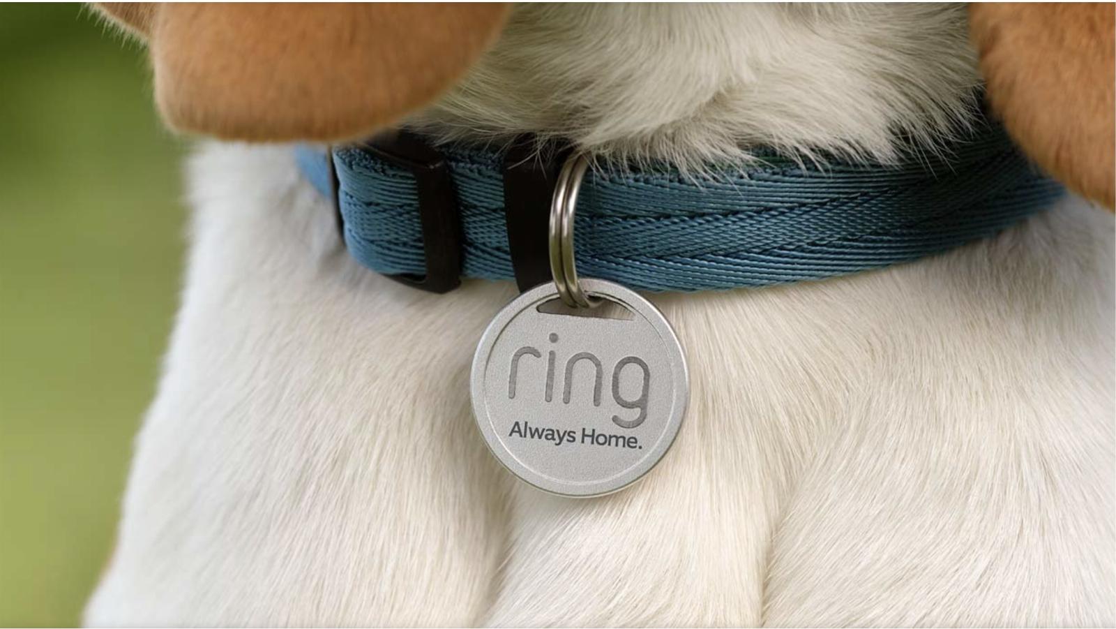 Ring’s new Pet Tag accessory helps reunite lost pets with their owners