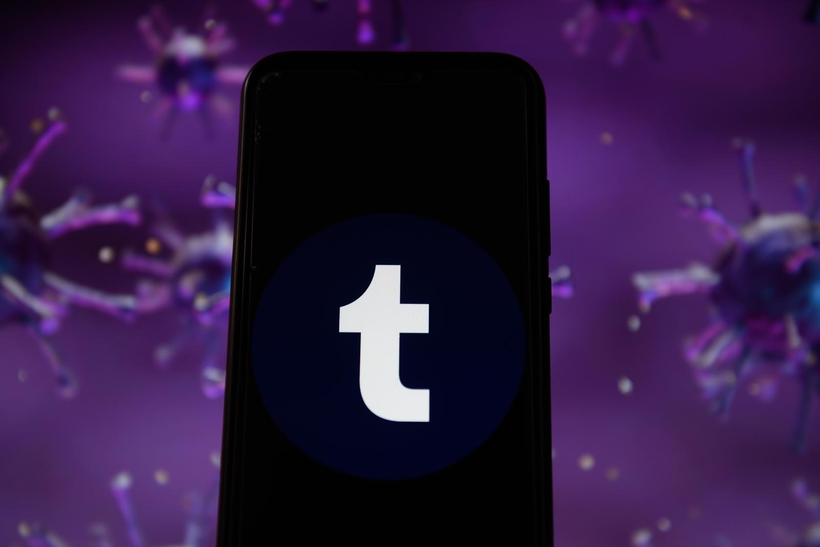 Tumblr’s ‘fediverse’ integration is still being worked on, says owner and Automattic CEO Matt Mullenweg