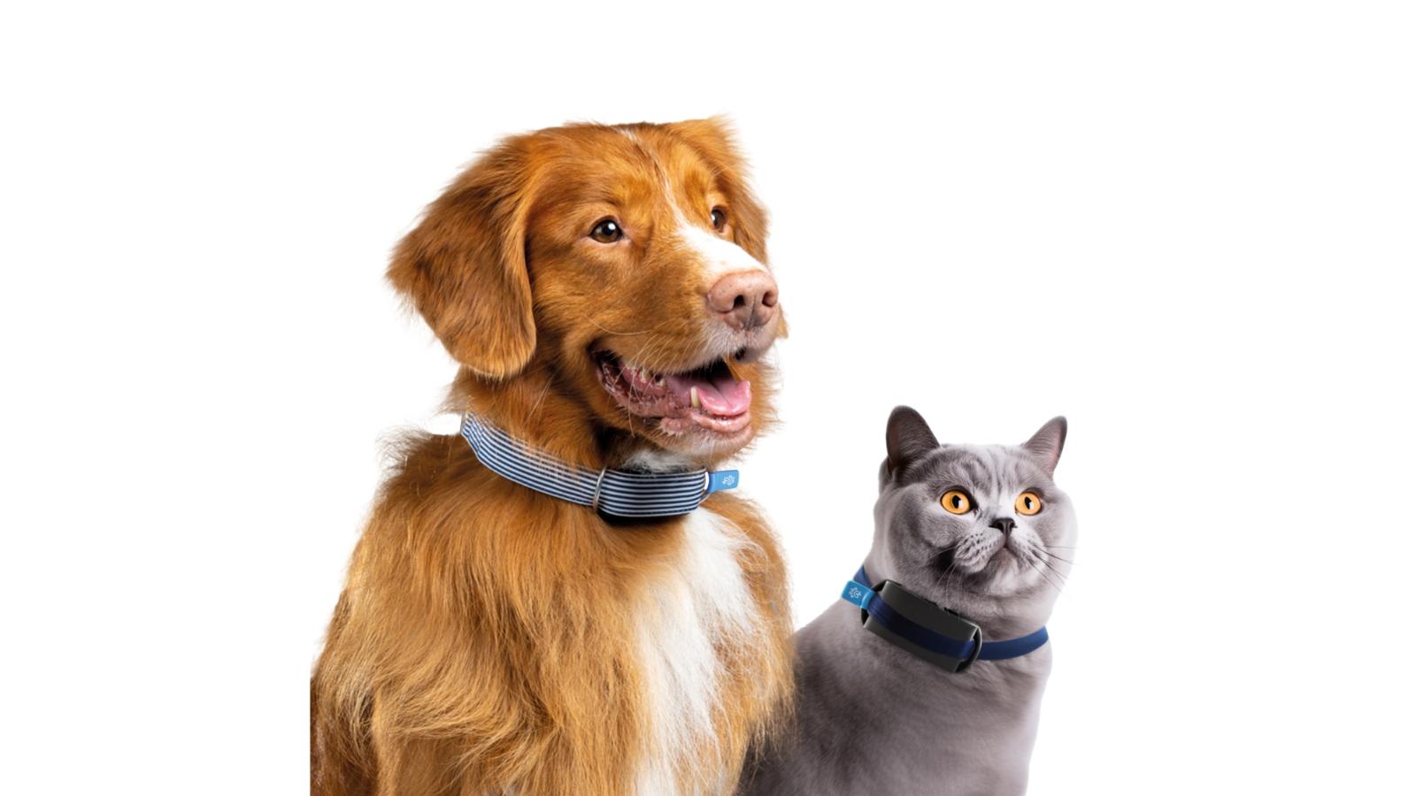 Invoxia has a new smart collar suitable for both cats and dogs
