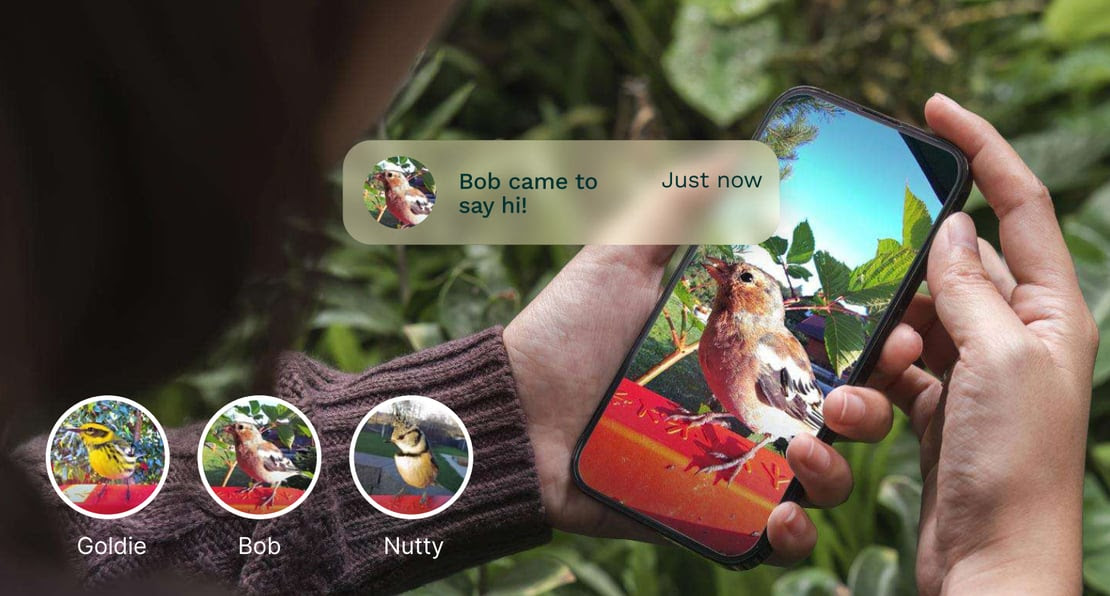 Bird Buddy’s new AI feature lets people name and identify individual birds