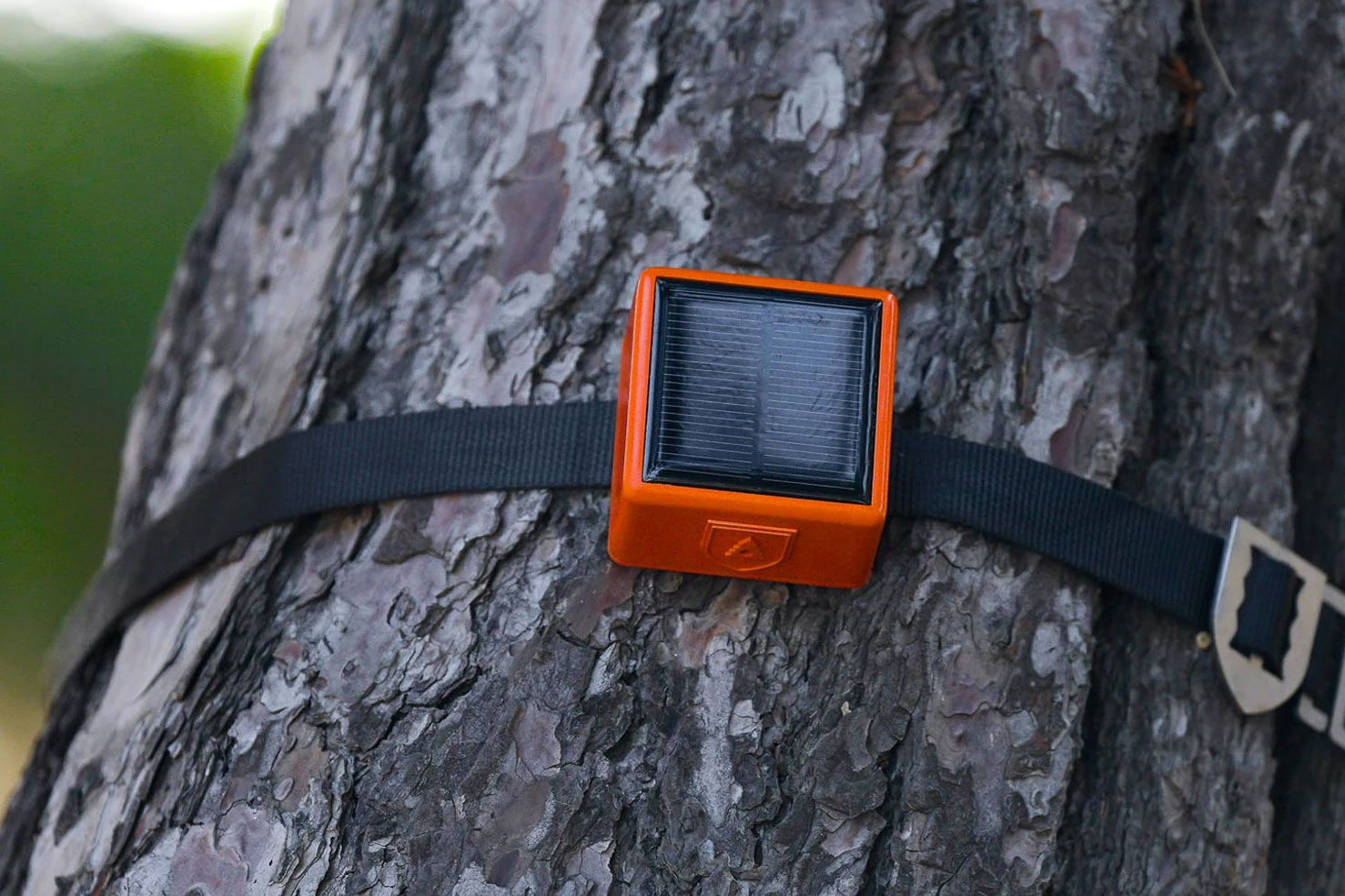 ForestGuard is building the ‘Internet of Trees’ to detect fires even earlier