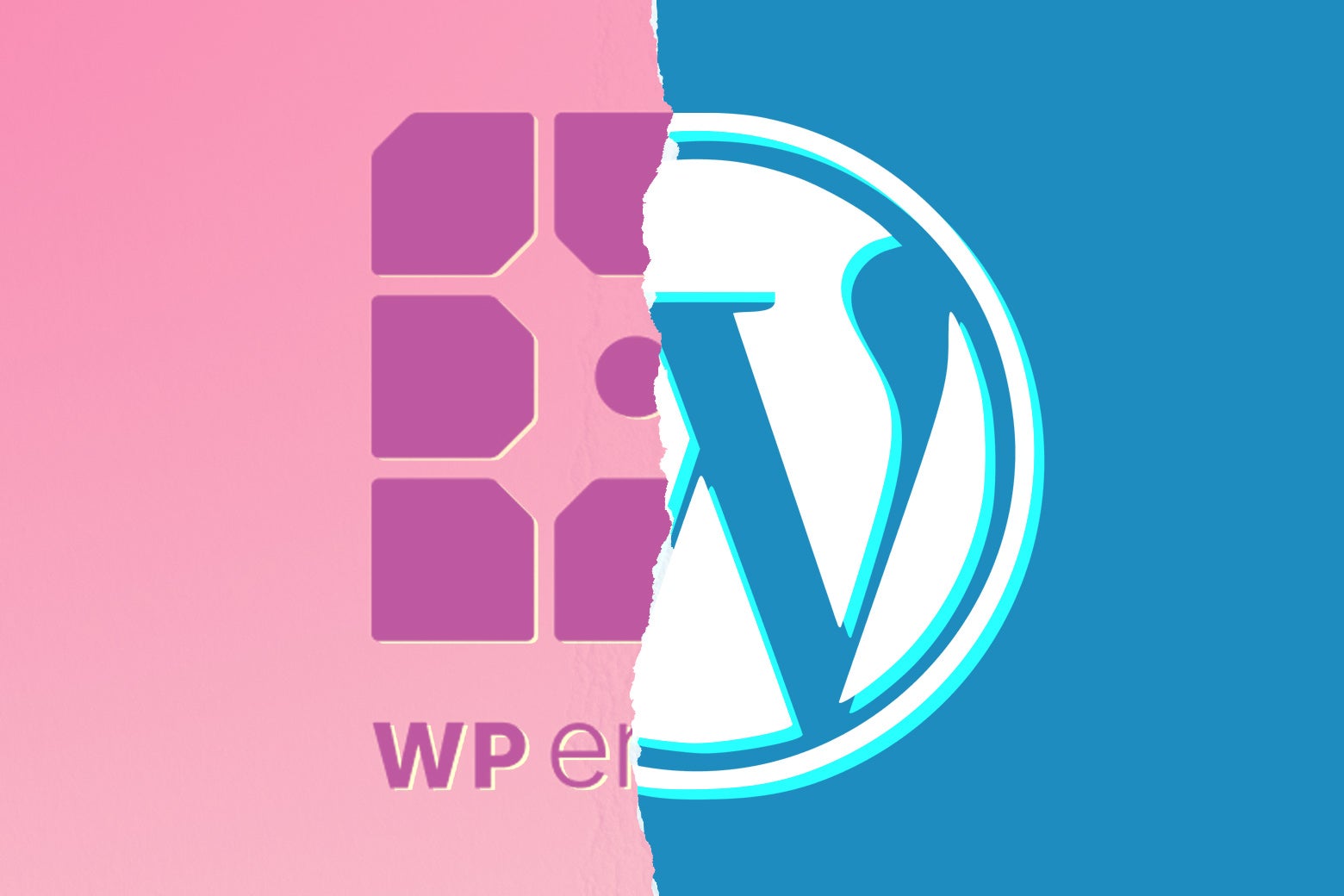 The Pettiest Drama in the Tech World Is Taking Place at … WordPress?