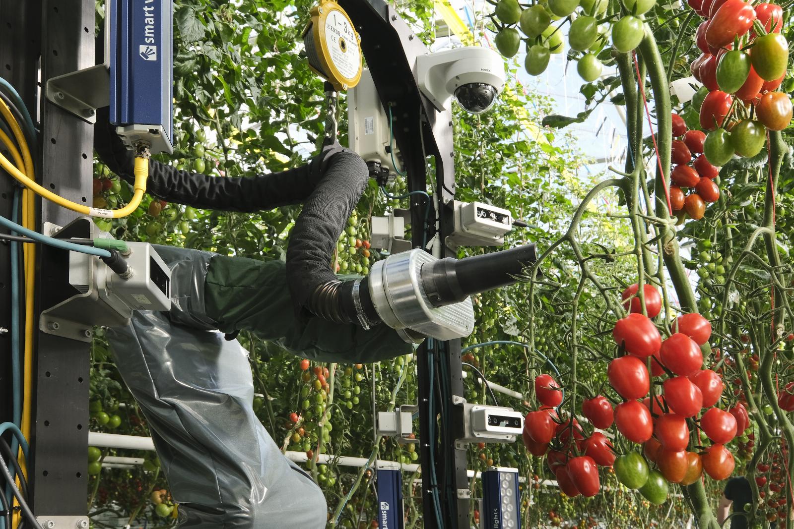 YC-backed Four Growers builds robots to help solve greenhouse labor shortages